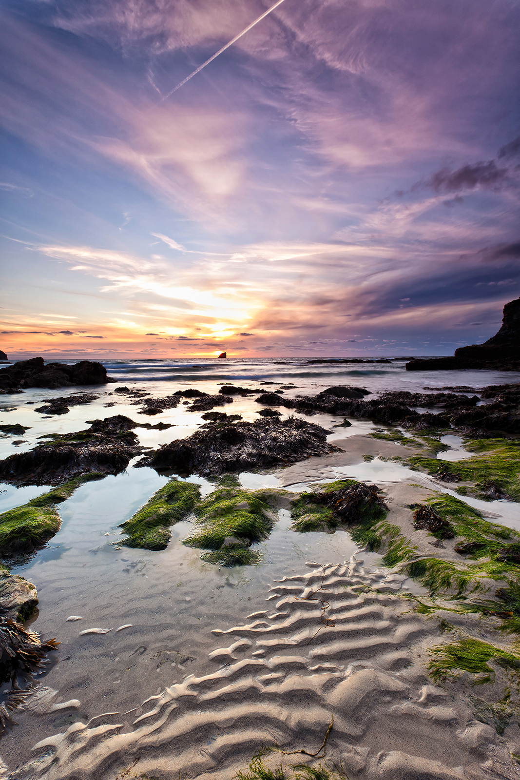 Shark Fin Cove